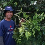 Bajawa ostrov Flores – JYN Group